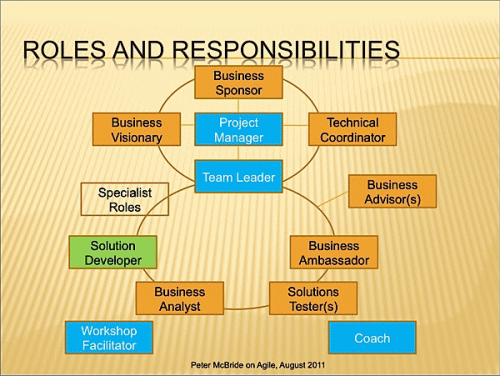 Figure 1: Roles and Responsibilities