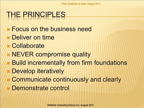 Figure 3: Agile's PM Principles