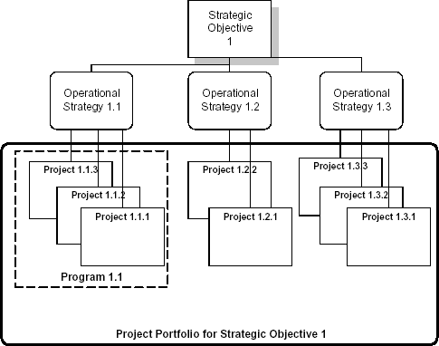 Figure 3. Schematic of Strategies, Projects, a Program and a Project Portfolio. 