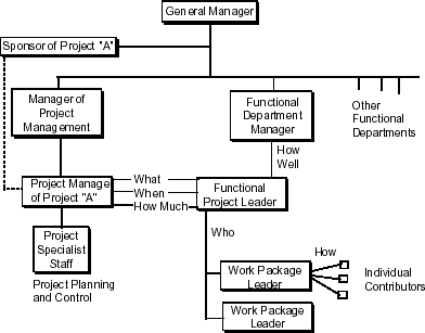 Figure 4. Relationships between the key integrative roles.