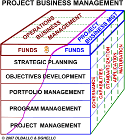 Figure 2: A Three-Dimensional View of Project Business Management