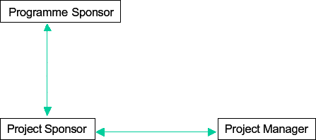 Figure 8a. Introducing the program sponsor to project management