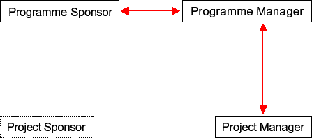 Figure 8b. Introducing the program manager to program management