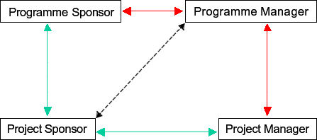 Figure 8c. Choices in program management roles and structure