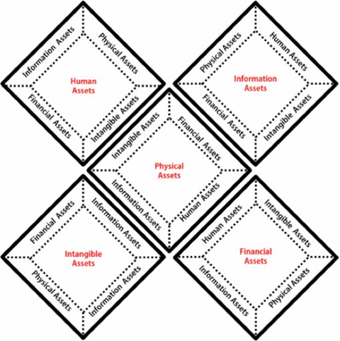 Figure 4: Five Asset Classes in any Organization