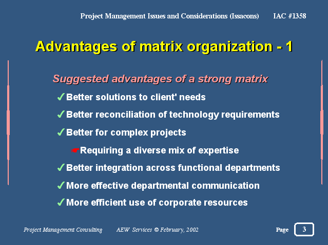 advantages of matrix organization