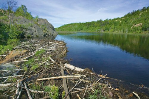 Figure 3: Abandoned dam failing to meet best practices