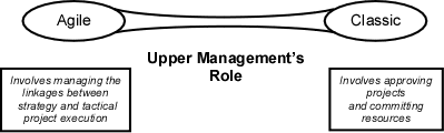 Figure 2: Upper management's role in the agile versus classic project