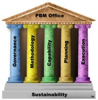 Figure 1 Project Business Management Organizational Model