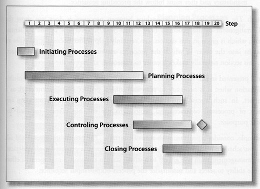 Figure 2: Muhamed's 20-step Process Sequence (Summary Level)