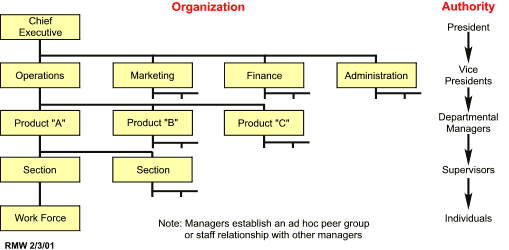 Figure 1. Typical Functional Organization showing Line Authority/Responsibility