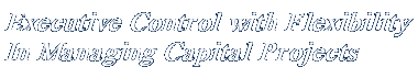 Executive Control with Flexibility In Managing Capital Projects