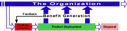 Figure 3: Completing the project portfolio life span