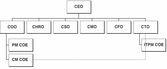 Figure 1: Potential Organizational Structure