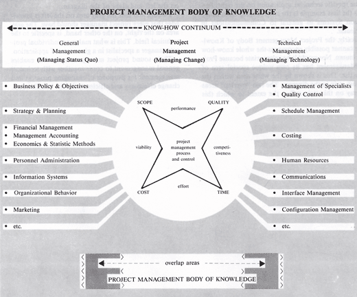Figure 4: Project management body of knowledge setting