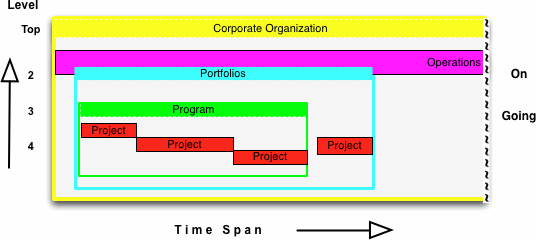 Figure 1: Project portfolio management in the corporate environment