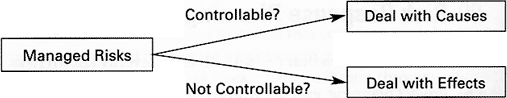 Figure 2: Risk Management Strategies